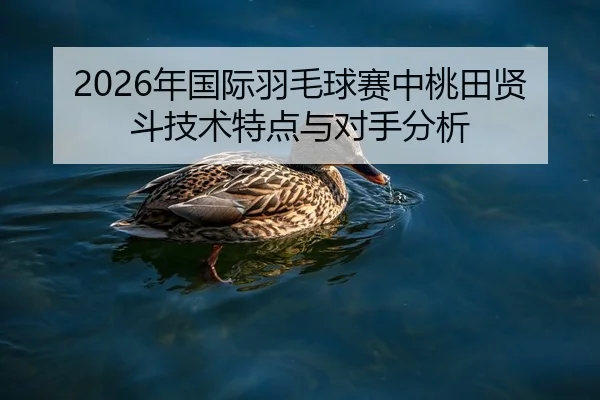 2026年国际羽毛球赛中桃田贤斗技术特点与对手分析