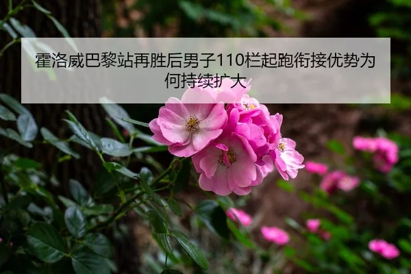 霍洛威巴黎站再胜后男子110栏起跑衔接优势为何持续扩大