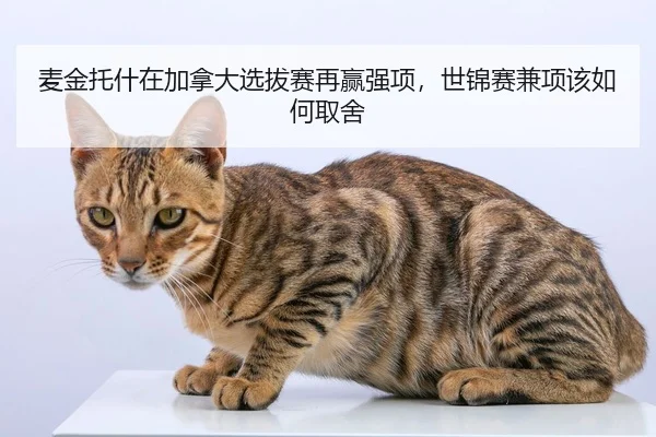 mai-jin-tuo-shen-zai-jia-na-da-xuan-ba-sai-zai-ying-qiang-xiang-shi-jin-sai-jian-xiang-gai-ru-he-qu-she-2-819.jpg