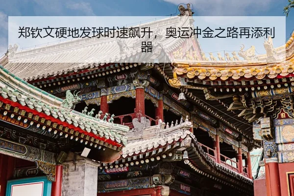zheng-qin-wen-ying-di-fa-qiu-shi-su-biao-sheng-ao-yun-chong-jin-zhi-lu-zai-tian-li-qi-3-219.jpg