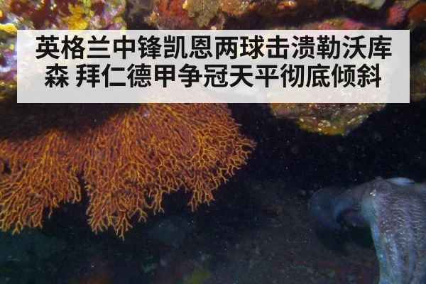 英格兰中锋凯恩两球击溃勒沃库森 拜仁德甲争冠天平彻底倾斜